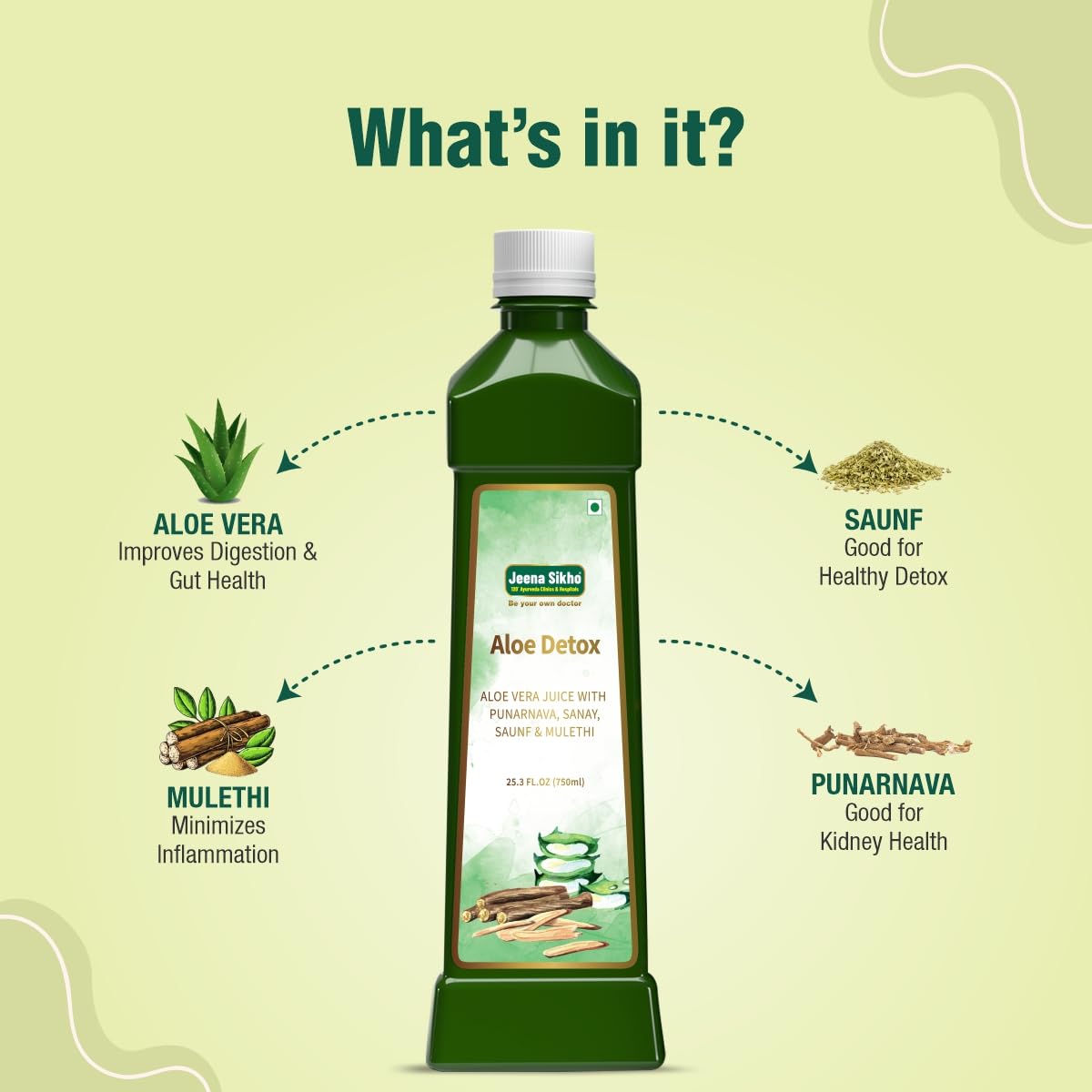 Jeena Sikho Aloe Detox Juice Naturally Beneficial For Body Detox Natural Aloe Vera, Punarnava, Sanay, Saunf & Mulethi | Suitable For Skin & Hair Health, 750ml 1.6lbs