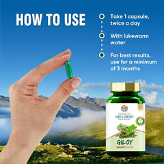 Search Wellness Ayurvedic Giloy Guduchi, Herbal Giloy Ghanvati For Blood Purification, Detoxifies The Body, Enhances Strength & Stamina, Immunity Booster | 60 Capsules 100gm 0.2lbs Each Pack Of 4