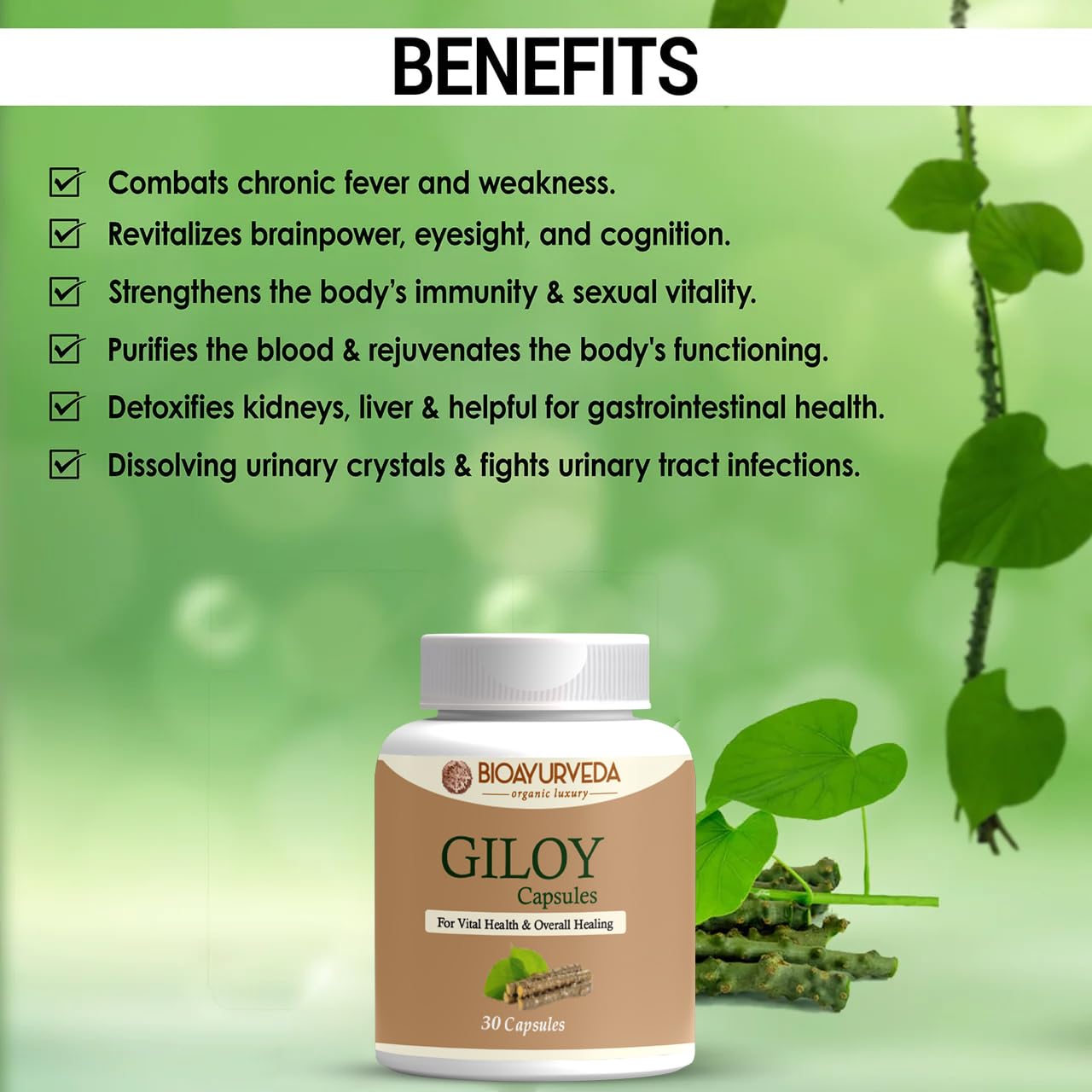 Bioayurveda Giloy Capsule Strengthens Immunity Wellness, Guduchi, Help In Boosting Immunity & Helps Enhancing Overall Immune Function | 30 Capsules 50gm 0.1lbs