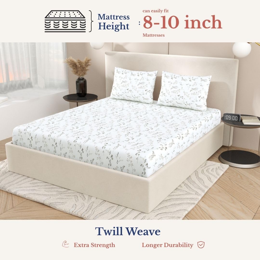 Elastic Fitted Bedsheet Double With 2 Pillow Covers | King Size - 72 × 78 X 8 Inches, White & Brown | Durable, Fade Resistant & Easy-Care Pure Cotton