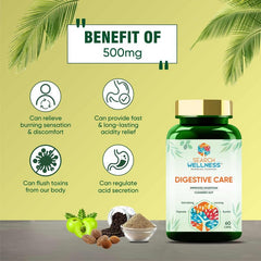 Search Wellness Digestive Care Natural & Herbal Capsules For Better Digestive Function & Healthy Gut, Ayurvedic Medicine For Healthy Digestion & Boost Immunity | 60 Capsules, 100gm 0.2lbs