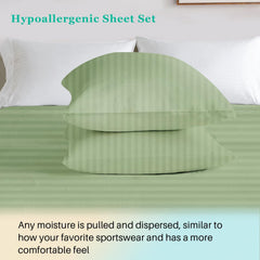 Super King Size Elastic Fitted Bedsheet With 2 Pillow Cover - 60 X 90 Inches, Sage Green | Natural Softness, Breathability & Long Lasting Comfort | Luxurious Touch