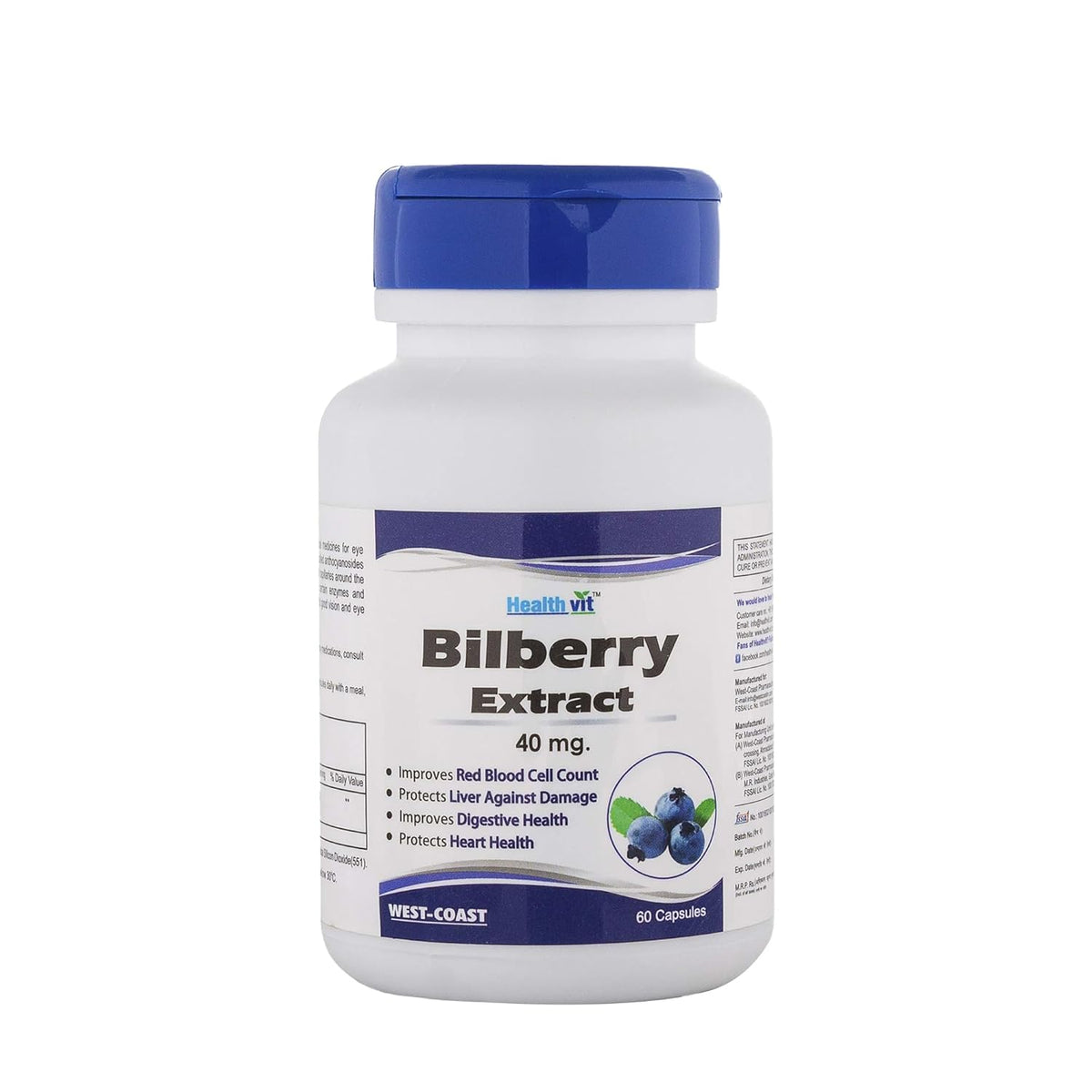 Healthvit Bilberry Extract 40mg Capsule Eye Health Supplement For Healthy Vision, Antioxidant Rich, Support Overall Health & Well - Being | 60 Capsules 100gm 0.2lbs