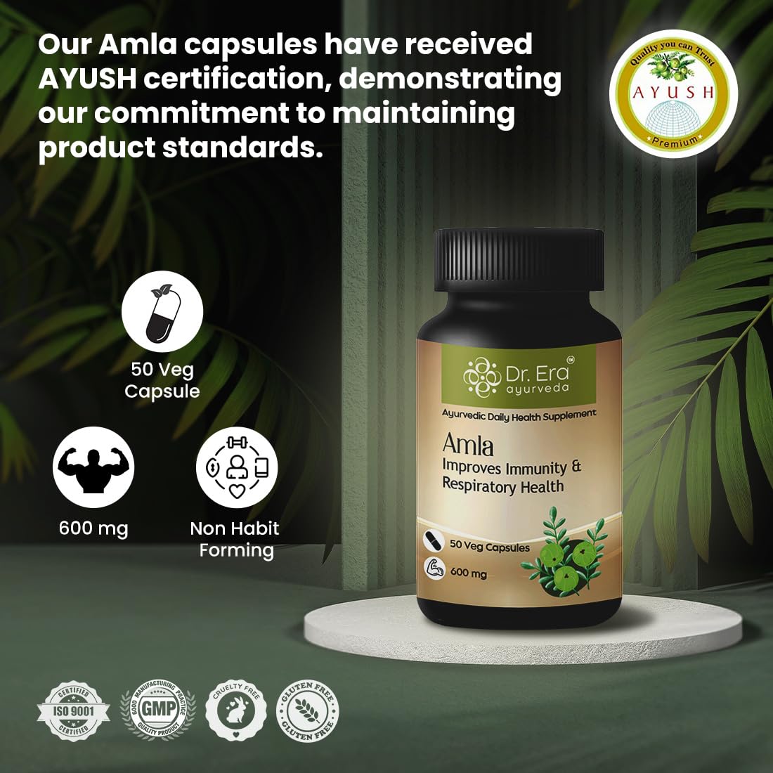 Dr. Era Ayurveda Amla Tablet - Pure Herbs Used | Rich In Vitamin C & Antioxidants , Improves Digestion, Enhances Vision | 50 Veg Tablets , 100gm 0.2lbs