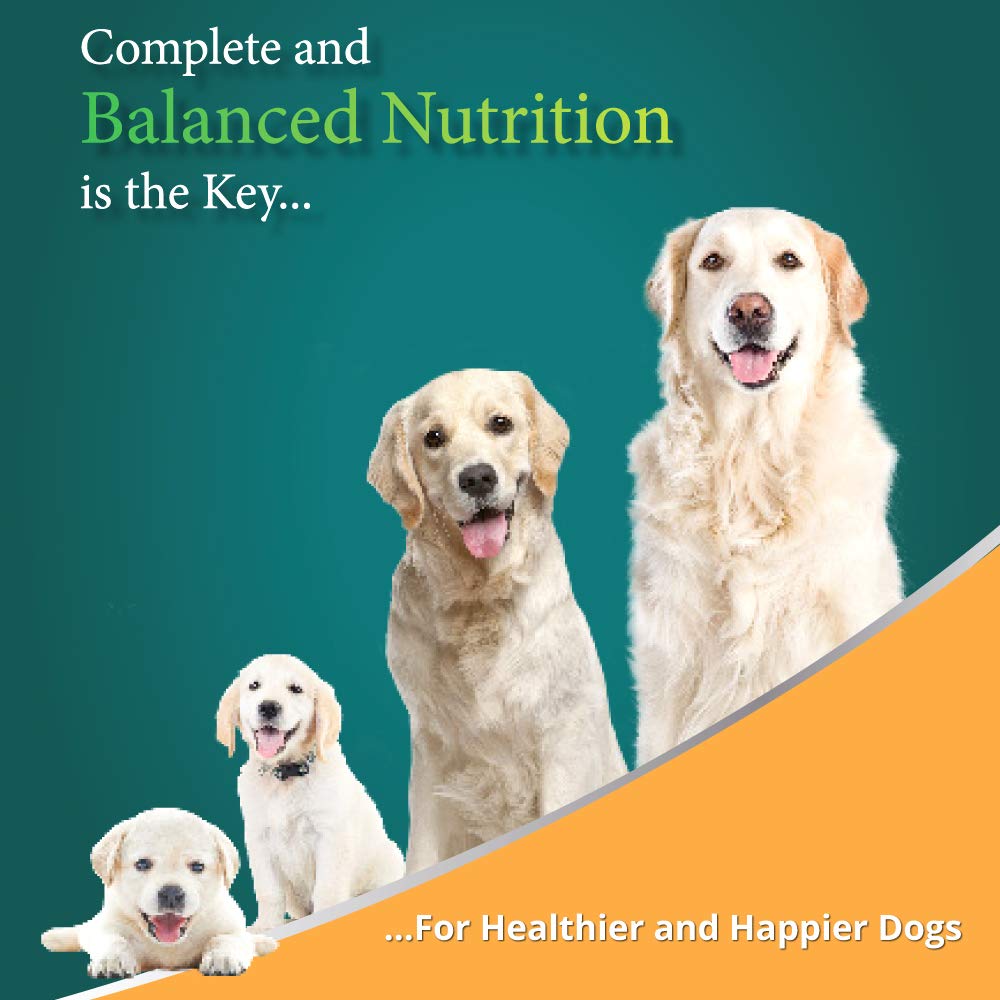 Himalaya Healthy Pet Food – Adult, Complete & Balanced Food For Dogs | 3 Kg