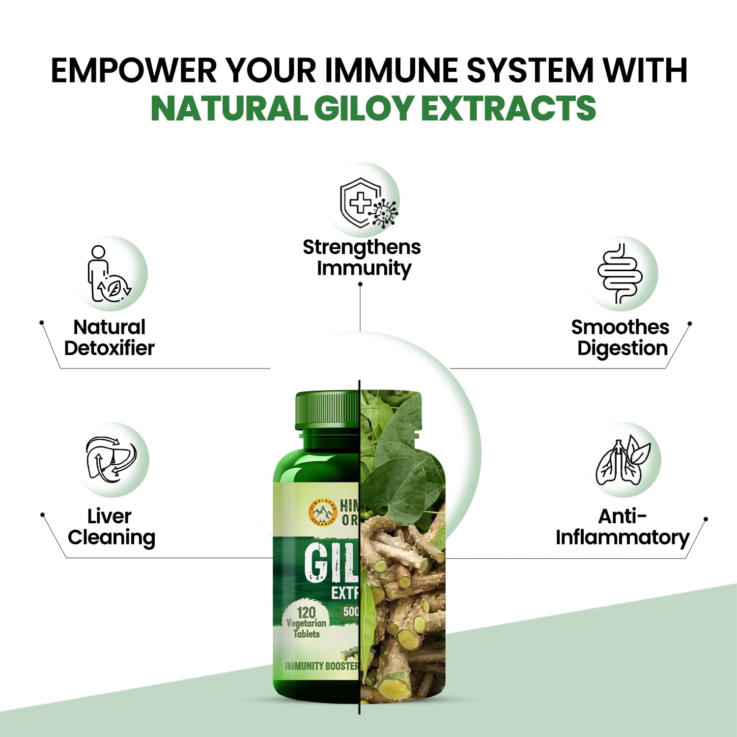 Himalayan Organics Giloy Extracts Guduchi 500mg, Antioxidant Properties, Immunity Booster, Helps In Blood Purification | For Mens & Women 120 Veg Tablets 150gm 0.3lbs