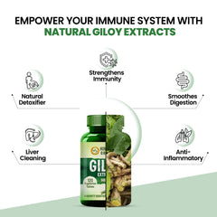 Himalayan Organics Giloy Extracts Guduchi 500mg, Antioxidant Properties, Immunity Booster, Helps In Blood Purification | For Mens & Women 120 Veg Tablets 150gm 0.3lbs