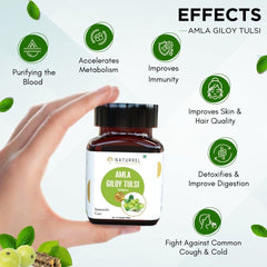 Naturrel Amla, Giloy And Tusi 3 - In -1, Stamina Booster & Resistance From Infections, Vitamin C, Supports Digestion, 100% Ayurvedic | 60 Tablets 100gm 0.2lbs