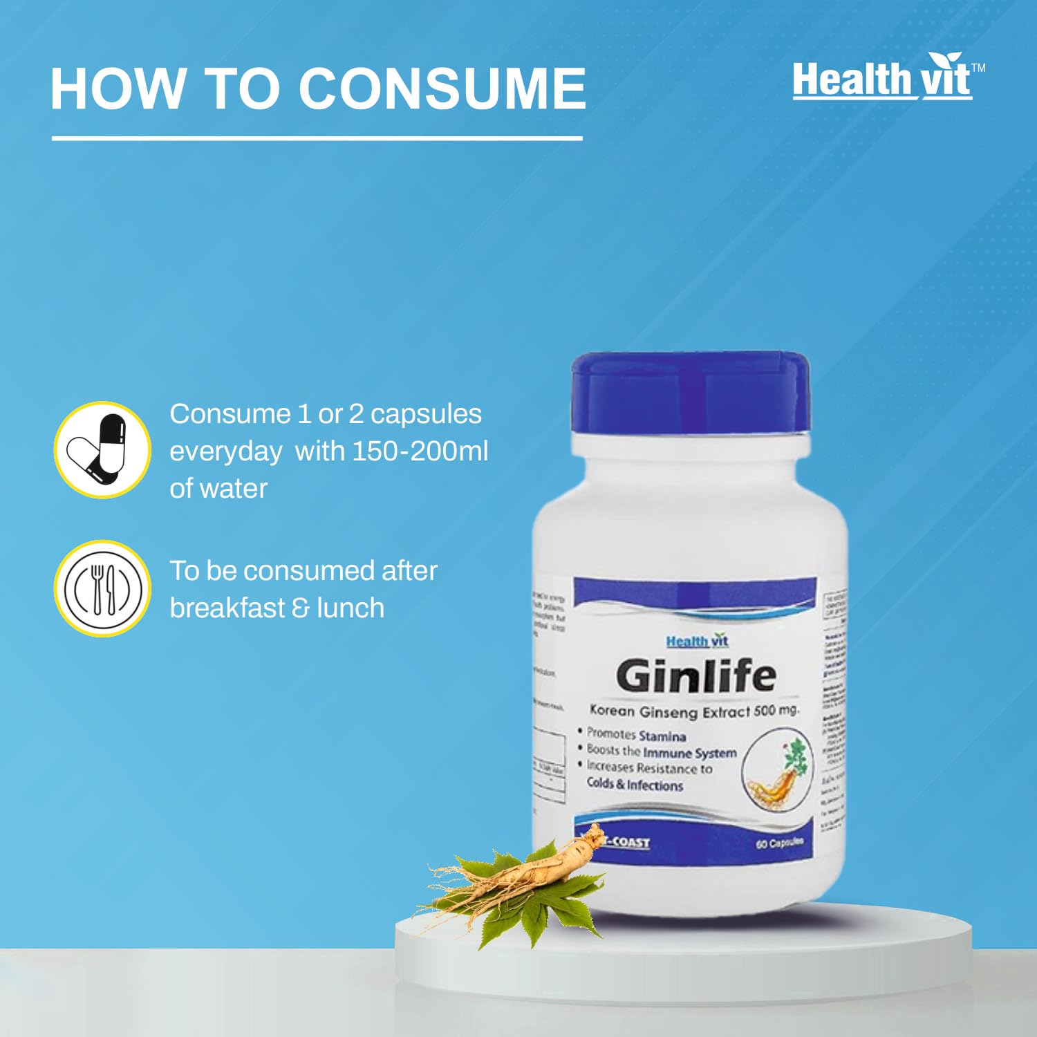 Healthvit Ginlife Korean Ginseng Extract 500mg, Improves Concentration & Cognitive Activities | 60 Capsules 100gm 0.2lbs