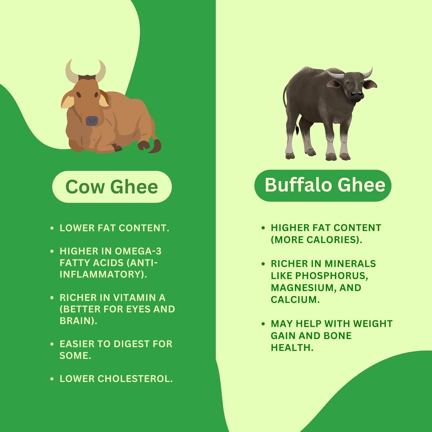 Pure Premium Buffalo Danedar Ghee By Panchamrut | Rich In Nutrients & Delicious Healthy Desi Ghee | 1 Litre (500ml * 2) 33.8 Ounce | Jar Pack