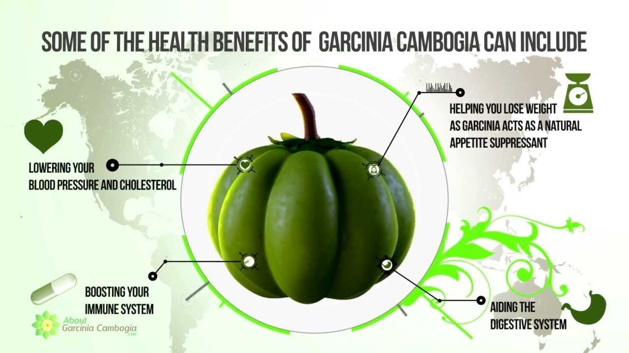 Healthvit Garcinia Cambogia Capsules Natural Weight Loss Supplement, 500mg Extract, Supports Metabolism & Energy, Supports Appetite Control, Reduce Fat Storage | 60 Capsules 100gm 0.2lbs