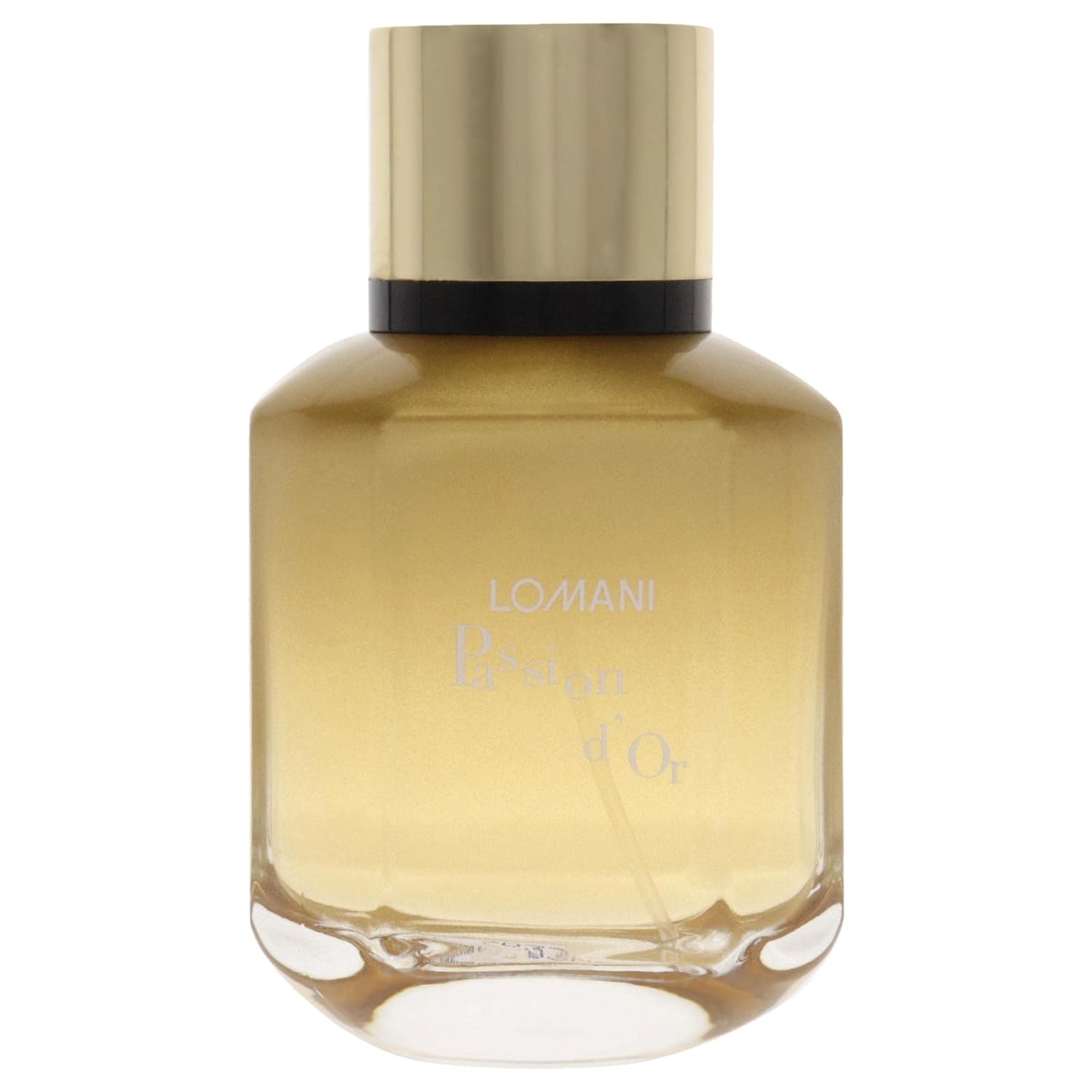 Lomani Paris Passion D'or For Women Eau De Parfum 100ml 3.4 Fl.oz. Perfect Gift For Wife | Long Lasting