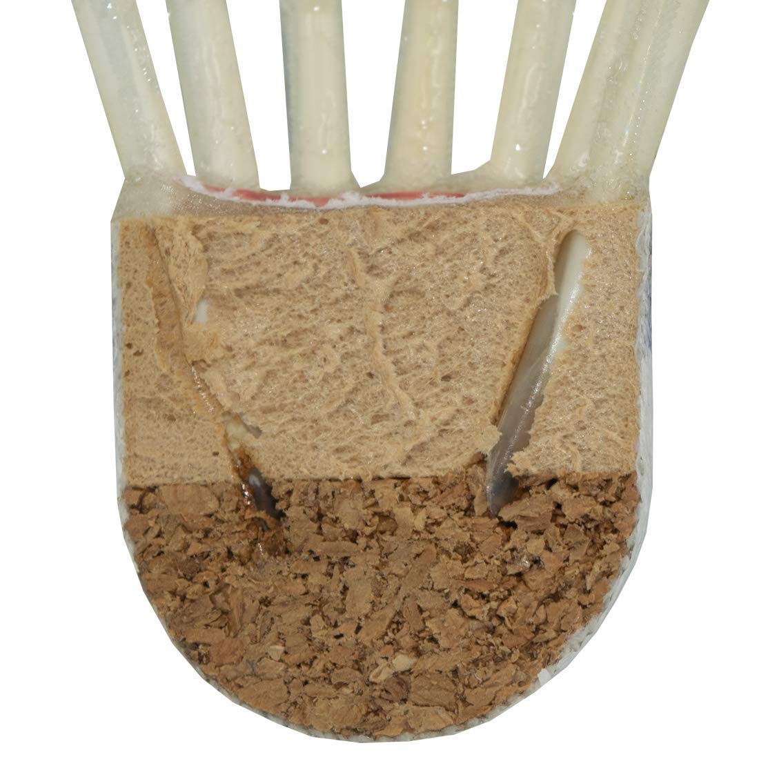 Triumph Titan 200 i Feather Badminton Shuttlecocks | White , Pack Of 10 Titan 200 i Feather Badminton Shuttlecocks | White , Pack Of 10