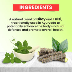 Baidyanath Giloy Tulsi Herbal Juice Helps Boost Immunity & Promotes Good Health, Supports Respiratory Wellness | 1000ml 2.2lbs Each Pack Of 2