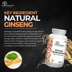 La Nature's We Care Your Health Ginseng Multivitamins & Multimineral Capsules Korean Red Ginseng Root Energy & Immune Support For Men & Women | 60 Soft Gels 100gm 0.2lbs Each Pack Of 2