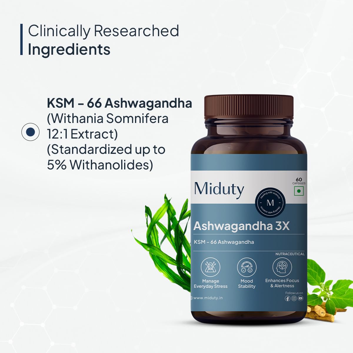 Miduty Palak Notes Ashwagandha 3x, 500 Mg Supplement Ksm 66 Ashwagandha, Triple Strength Formula, For Mood Stability, Focus, Strength & Stress | 60 Veg Capsules 100gm 0.2lbs