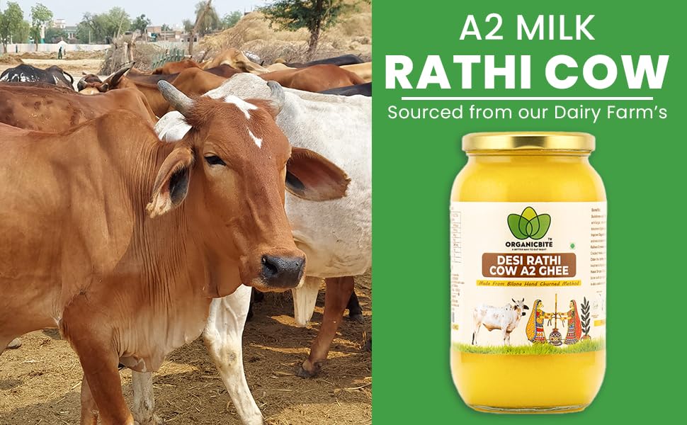Pure Premium A2 Desi Rathi Cow Ghee By Organicbite | High In Protein Fiber Healthy Desi Ghee Good For Sweets | (1 Litr) 33.8 Ounce | Jar Pack