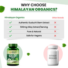 Himalayan Organics Giloy Extracts Guduchi 500mg, Antioxidant Properties, Immunity Booster, Helps In Blood Purification | For Mens & Women 120 Veg Tablets 150gm 0.3lbs