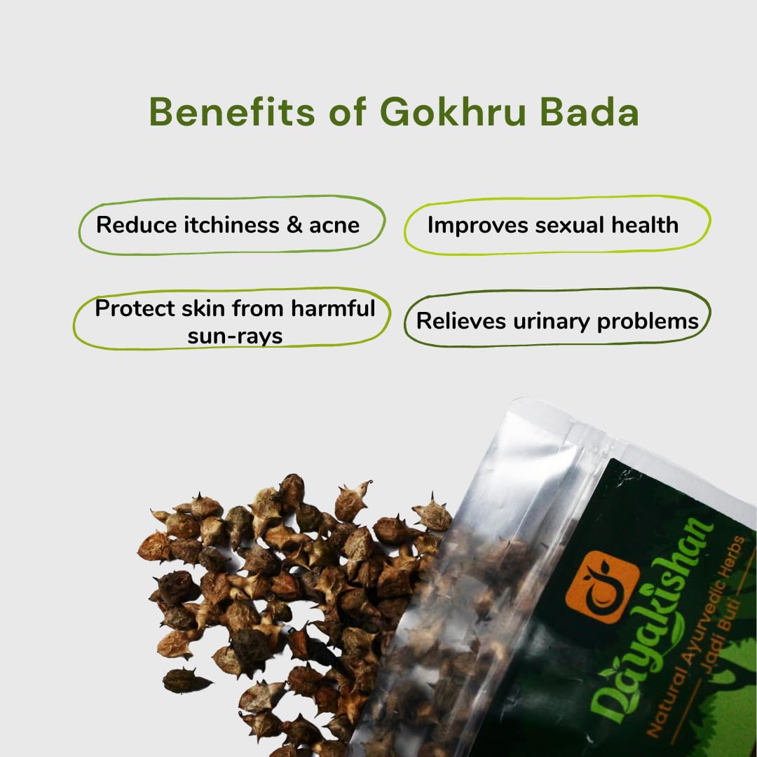 Dayakishan Gokhru Bada, Gokshura Big, Gokharu Bada Whole, Raw Pedalium Murex, Sabut Gokhru Bada, Tribulus Terrestris, Gokhru Seeds, Large Caltrops, Palleru, Nerunjil | 100gm 0.2lbs