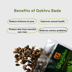Dayakishan Gokhru Bada, Gokshura Big, Gokharu Bada Whole, Raw Pedalium Murex, Sabut Gokhru Bada, Tribulus Terrestris, Gokhru Seeds, Large Caltrops, Palleru, Nerunjil | 900gm 1.9lbs