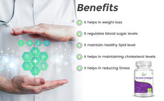 Natures Velvet Lifecare Garcinia Cambogia Pure Extract 500mg It Helps In Maintaining Cholesterol Level | 60 Veggie Capsules 100gm 0.2lbs Each Pack Of 3