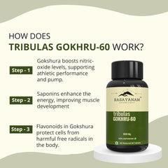 Rasayanam Tribulas Gokhru Gokshura Tablets 1000mg Ultra High Concentrated 60% Saponins, Improves Vigour, For Both Men & Women | 60 Tablets 100gm 0.2lbs Each Pack Of 2