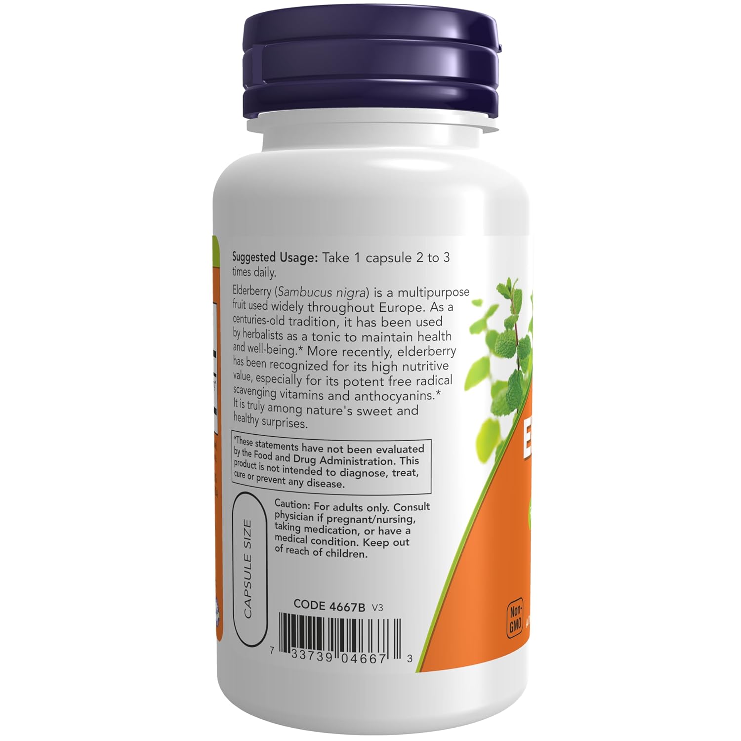 Now Foods Elderberry 500mg, Contains High Nutritive Value & Maintain Health & Well - Being | 60 Veg Capsules 100gm 0.2lbs