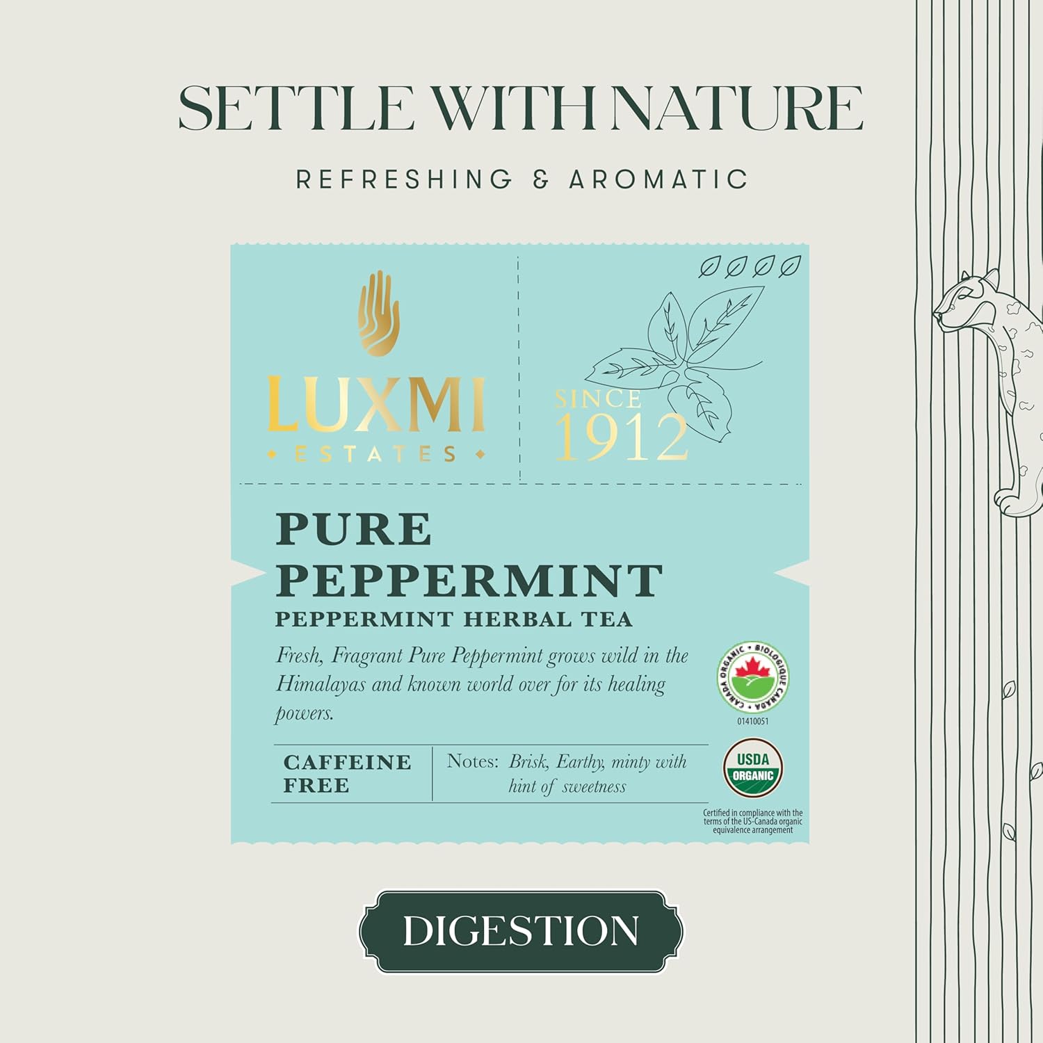 Luxmi Estates Pure Peppermint Herbal Tea - 100gm, 3.5 Ounce, 50 Tea Bags | USDA Certified Organic Tea - Caffeine Free Herbal Tea | Rich In Antioxidants, Additives Free - Mint Tea Best For Night Time