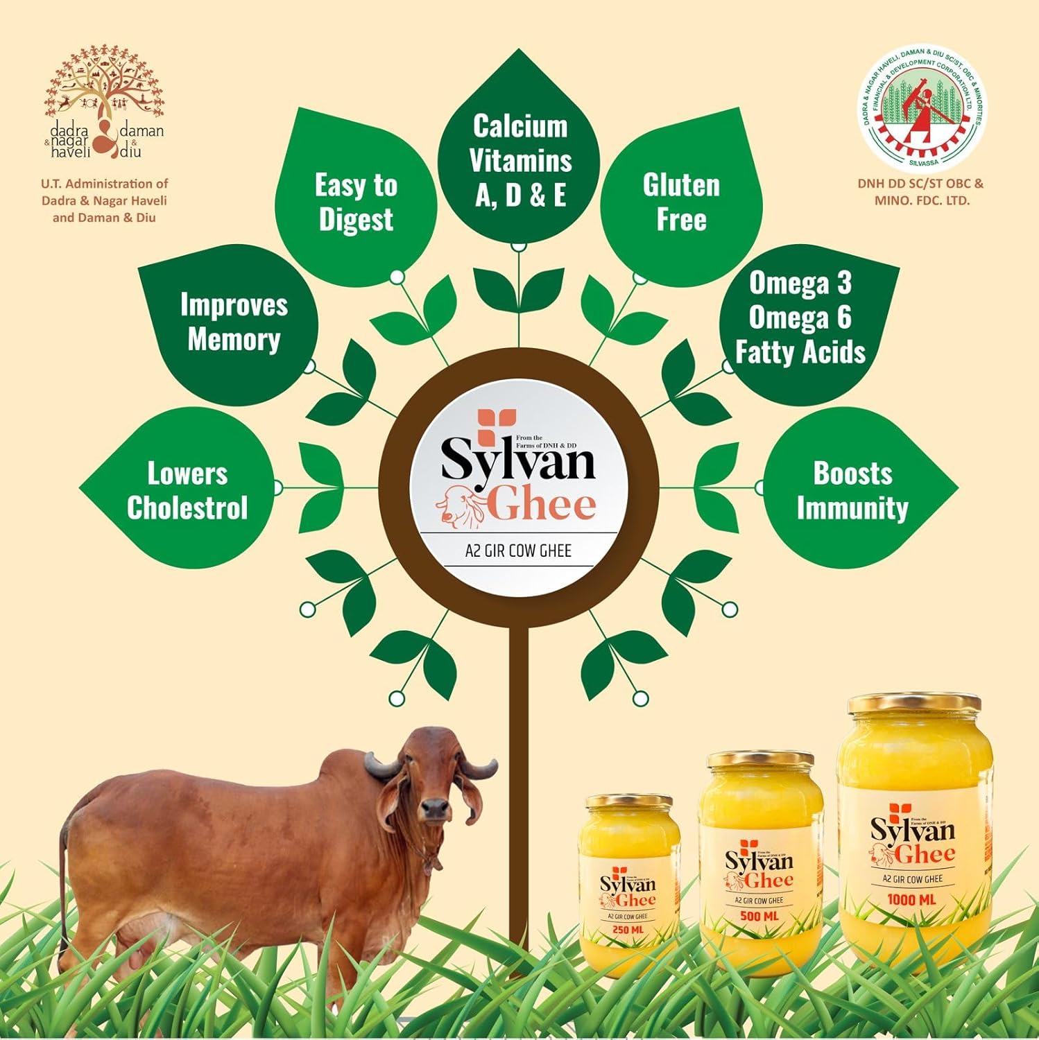 100% Pure A2 Gir Cow Ghee By Sylvan | Natural & Healthy Delicious Desi Ghee Ideal For Moisturizes Skin | (1 Litre) 33.8 Ounce | Container Jar