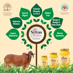 100% Pure A2 Gir Cow Ghee By Sylvan | Natural & Healthy Delicious Desi Ghee Ideal For Frying, Baking | (250ml) 8.4 Ounce | Container Jar