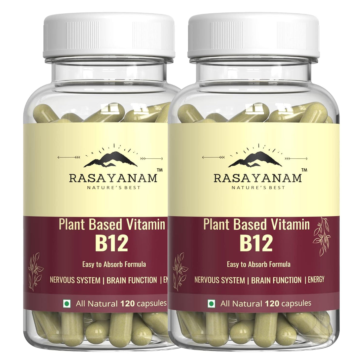 Rasayanam Plant Based Vitamin B12 Supplement For Men & Women | Organic Formulation For Vegetarians & Vegans To Support Nervous System & Brain Function | 120 Capsules , 200gm 0.4lbs , Each Pack Of 2