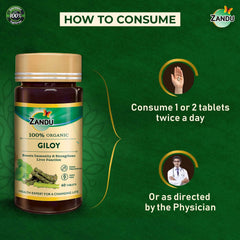 Zandu Giloy Tablets With 100% Pure Giloy Extract, Ayurvedic Immunity Booster, Protects Against Infections, Improves 100% Ayurvedic & Vegetarian | 60 Tablets 100gm 0.2lbs