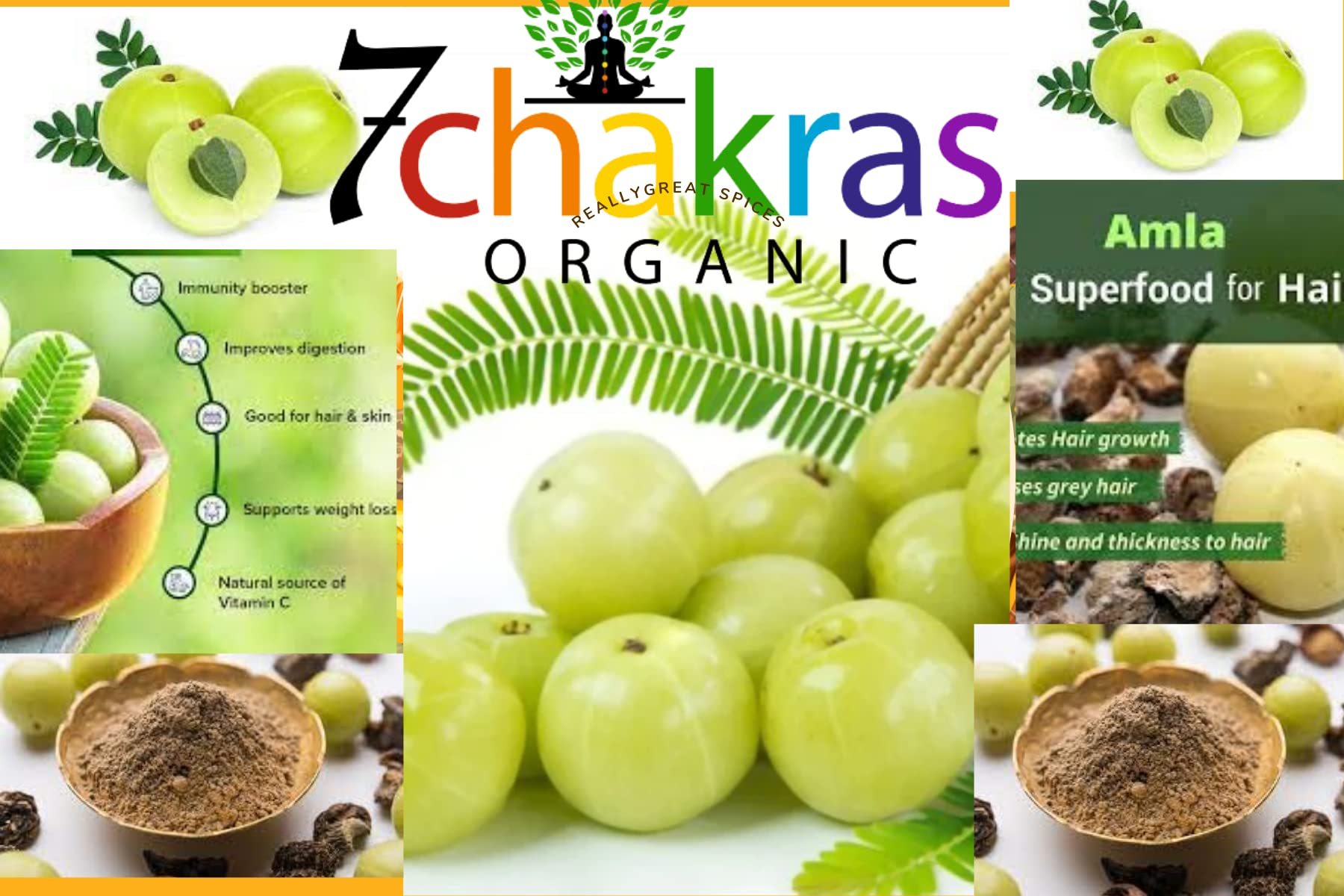 7 Chakras Organic Amla Powder, Amla Powder For Hair Nourishment, Repair Damage Hair & Skin Care, Amla Powder For Eating, 100% Pure & Organic Gooseberry | 100gm 0.2lbs
