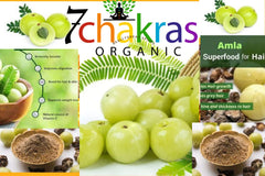 7 Chakras Organic Amla Powder, Amla Powder For Hair Nourishment, Repair Damage Hair & Skin Care, Amla Powder For Eating, 100% Pure & Organic Gooseberry | 100gm 0.2lbs