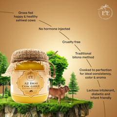 Organic A2 Desi Cow Ghee By Earth And Essentials | Natural & Healthy Danedar Ghee Ideal For Body Joint Pain | (500ml) 16.9 Ounce | Jar Pack