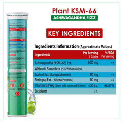 Naturyz Highest Strength 100% Plant Extracted Ksm - 66 Ashwagandha 600mg, Vitamin D3, Muscle Recovery, Energy, Relieve Stress | 20 Effervescent Tablets Green Apple 50gm 0.1lbs