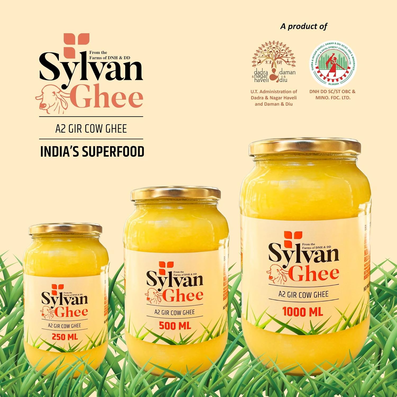 100% Pure A2 Gir Cow Ghee By Sylvan | Natural & Healthy Delicious Desi Ghee Ideal For Frying | (500ml) 16.9 Ounce | Container Jar