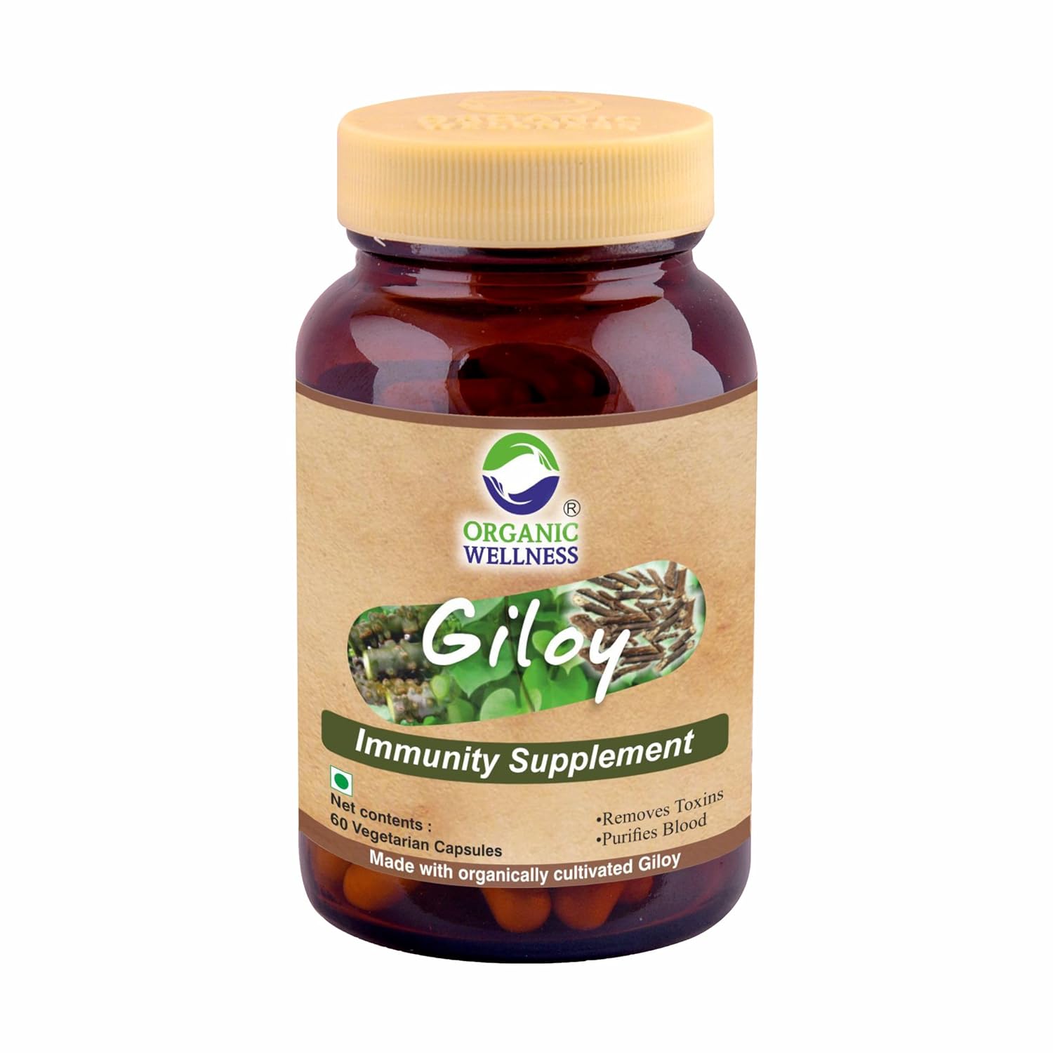 Organic Wellness Giloy Capsules, Natural Giloy, Antioxidant Properties, Purifies Blood Supplement, Immunity Booster, Health & Wellness | 60 Veg Capsules 100gm 0.2lbs
