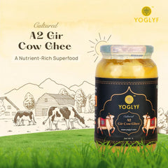 Natural Premium A2 Gir Cow Ghee By Yoglyf | High In Vitamins A, D & Healthy Desi Cow Ghee Good For Frying | (1 Litre) 33.8 Ounce | Jar Pack