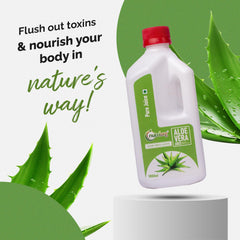 Nutriorg Organic Aloe Vera Juice With Pulp Cold - Pressed Pure Aloe Vera Supports Hair, Skin, Detox, Weight Loss & Immunity | No Added Sugar Ayurvedic Juice For Digestive Health, 1000ml 2.2lbs