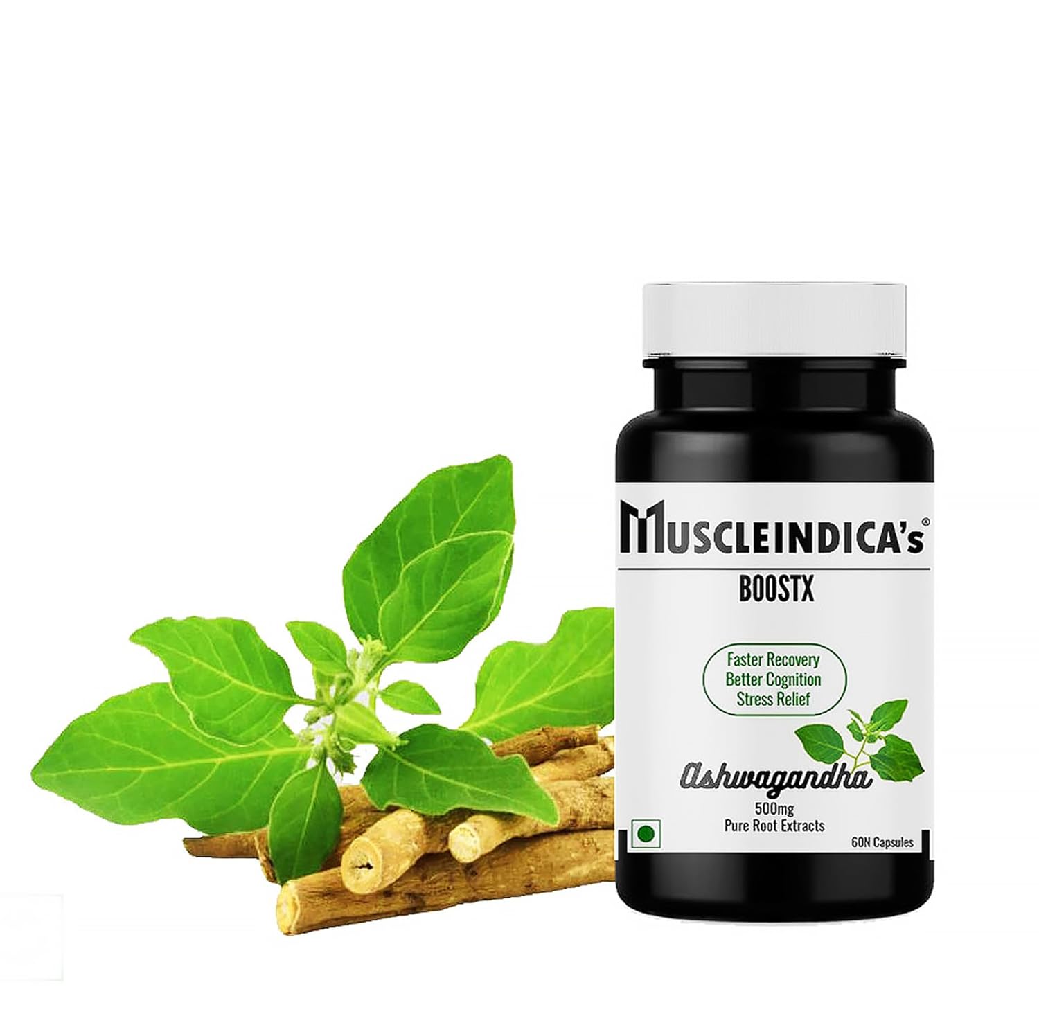 Muscleindica's Boostx Pure Ashwagandha Root Extracts 500mg, Withania Somnifera Extract, Boost Focus & Discipline - No Additives Or Fillers | 60 Capsules 100gm 0.2lbs