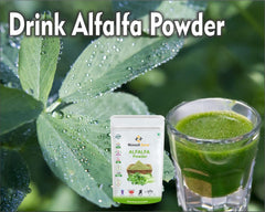 Nimadi Zone Alfalfa Grass Powder, Rich In Calcium, Phosphorous, Potassium, Trace Minerals, Enzymes And Vitamins | 500gm 1.1lbs