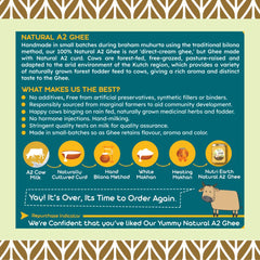 Organic A2 Kankrej Cow Ghee By Nutri Earth | Nutrient Rich In Protein FIber Healthy Desi Cow Ghee Support Brain Function | 1 Litre (500ml * 2) 33.8 Ounce | Jar Pack