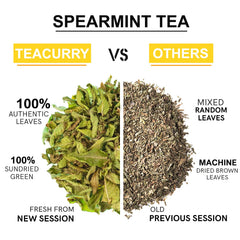 Teacurry Plant Based Spearmint Leaf Tea Bag - Pack Of 2 X 60gm, 2.1 Ounce Each, 60 Pyramid Tea Bags | Helps With Hormonal Imbalance, Facial Hair & PCOS - Caffeine Free, Gluten Free