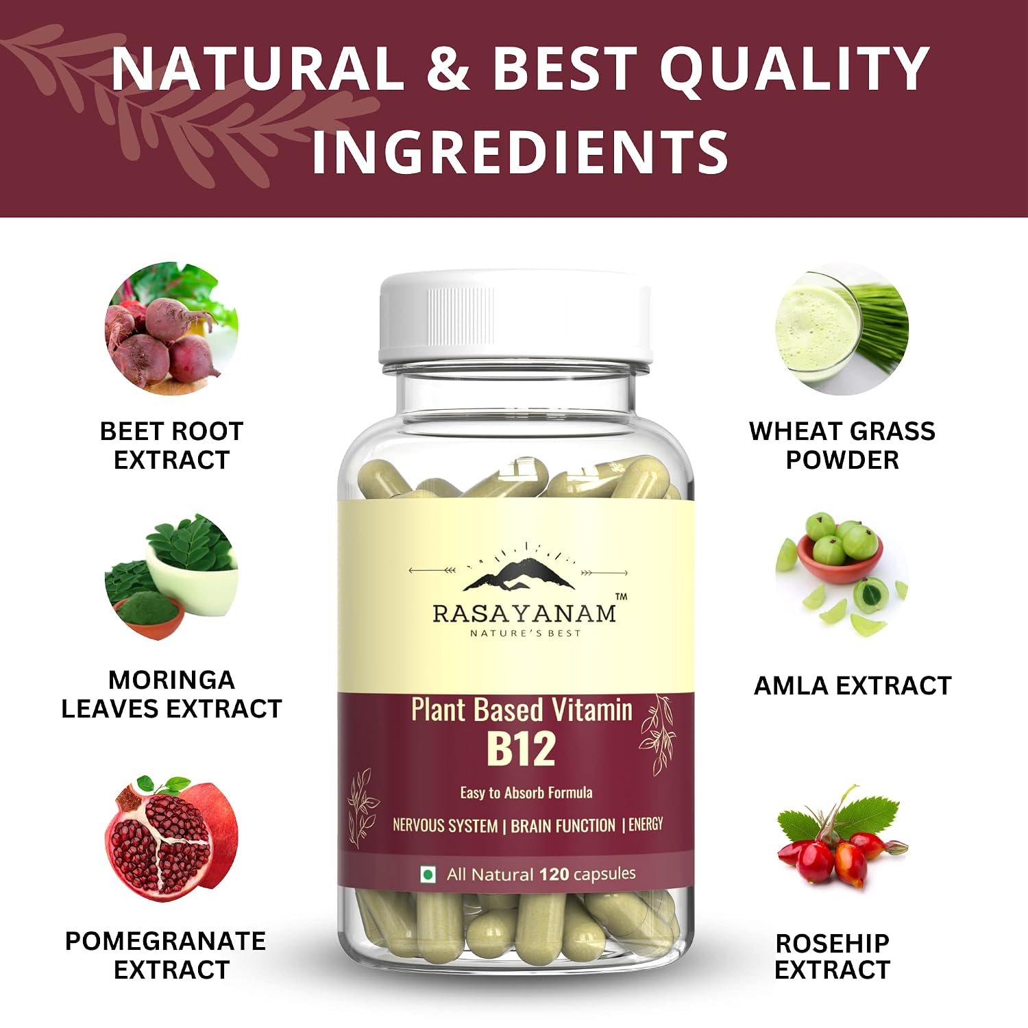 Rasayanam Plant Based Vitamin B12 Supplement For Men & Women | Organic Formulation For Vegetarians & Vegans To Support Nervous System & Brain Function | 120 Capsules , 200gm 0.4lbs , Each Pack Of 2