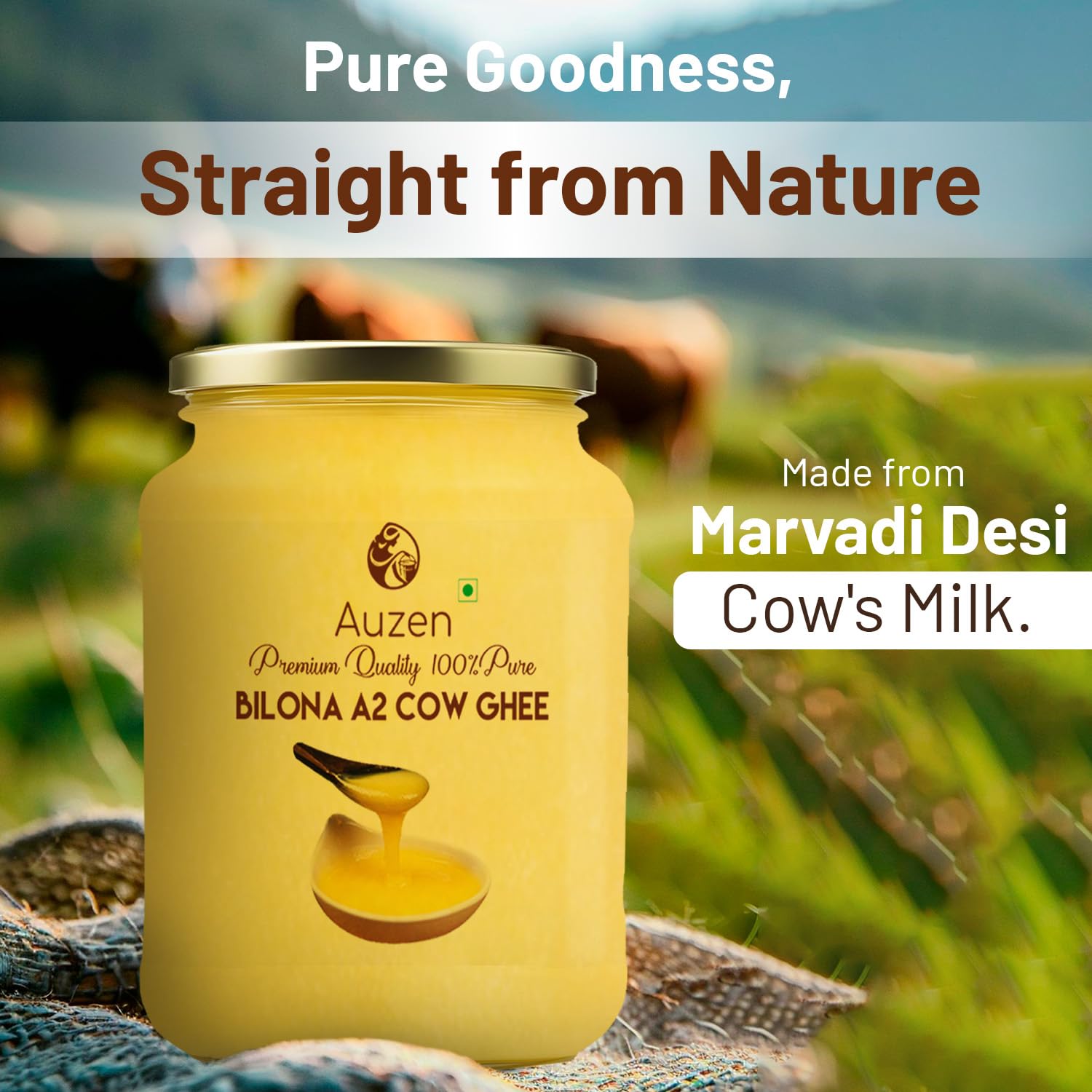Pure Natural A2 Cow Ghee By Auzen | Rich In Nutrient, Delicious Healthy Desi Cow Ghee Good For Overall Health | (500ml) 16.9 Ounce | Jar Pack