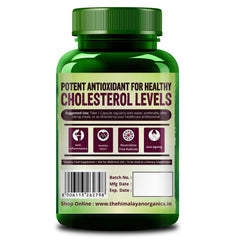 Himalayan Organics Grape Seed Extract 500mg Antioxidant Supplement, Healthy Cholesterol Level Boost Immunity, Promote Healthy Hair & Skin | 90 Veg Capsules 150gm 0.3lbs Each Pack Of 2