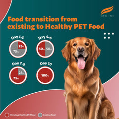 Himalaya Healthy Pet Food – Adult, Complete & Balanced Food For Dogs | 1.2Kg