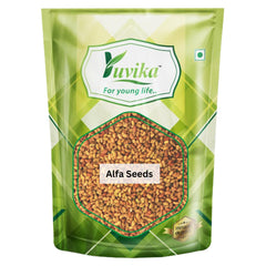 Yuvika Alfa Seeds, No Artificial Colors, 100% Organic | 100gm 0.2lbs