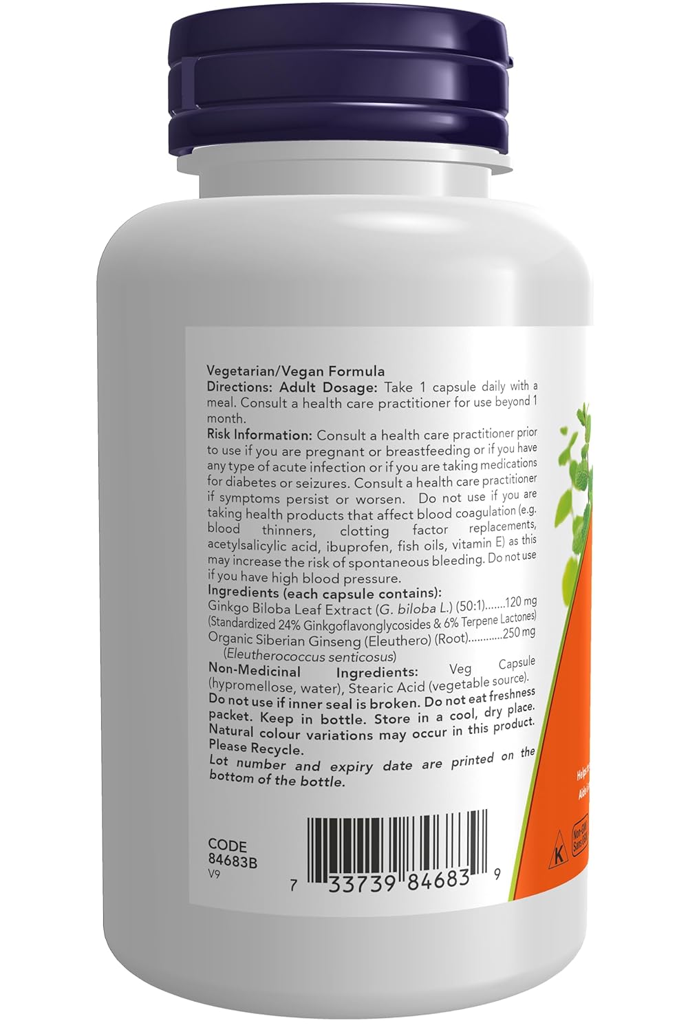 Now Ginkgo Biloba 120mg 24% 50:1 Extract, Helps To Maintain Cognitive Function & Memory In Adults | 100 Veg Capsules 150gm 0.3lbs